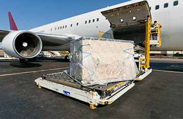 Surface Services